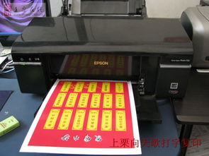 貼心高效的辦公服務(wù)專家——上栗縣向天歌打字復(fù)印店